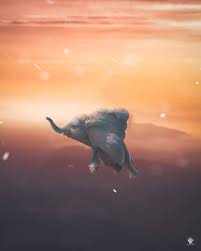 Danish zehan (famebrue) hd manipulation background by parth editz hello guys, i am parth, welcome to our ruclip chenal. Best Conceptual Photo Editing Background Vijay Mahar Background Download Conceptual Photo Picsart Background Background Images Wallpapers