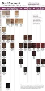 Ion Demi Permanent Hair Color Chart Sbiroregon Org