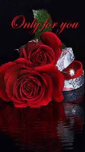 We did not find results for: Love Roses Are Red Red Roses Love Rose Beautiful Rose Flowers