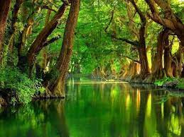 パンゲア 公式アカウント on twitter nature scenery nature wallpaper