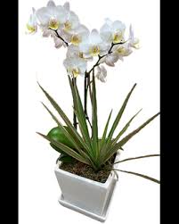Where is walnut creek florist in walnut creek on the map? South San Francisco Florist Flower Delivery By El Camino Florist