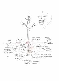 Maybe you would like to learn more about one of these? Planting Trees