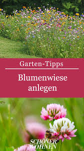 Anleitung Zum Anlegen Einer Blumenwiese Sommer Garten Terrasse Anleitung Blumen Blumenwiese Pflanzen Ti Blumenwiese Anlegen Blumen Wiese Blumenwiese