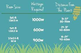 This close proximity allows the most light to reach your. Can You Use Regular Led Lights For Grow Lights