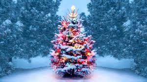 Shop at ebay.com and enjoy fast & free shipping on many items! History Of Christmas Trees History