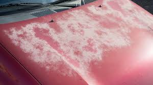 What Damage can the Sun do to Vehicle Paint? - Jenkins and Pain Kent's  Premiere Accident Repair Centre