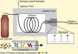 Coloring a picture of a mole using ion charges as coloring directions: Chemmatters October 2019 The Measure Of A Mole