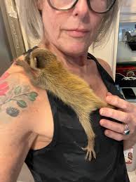 Li'l momma brought the babies by finally😁😁😁