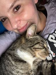 Help with Rockdale cat colony licensing issue