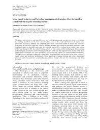 The humps are used to store fat that converts to energy when needed. Pdf Male Camel Behavior And Breeding Management Strategies How To Handle A Camel Bull During The Breeding Season