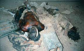 Check spelling or type a new query. Decomposed Dead Bodies Of Government Soldiers Shot In War By Muj Free Download Borrow And Streaming Internet Archive