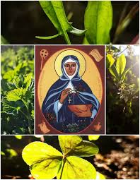 Image result for Viridivia