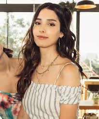 Control z es una serie de televisión mexicana creada por carlos quintanilla sakar, adriana pelusi y miguel garcía moreno que se estrenó en netflix el 22 de mayo de 2020. Character And Actor Guide To Netflix Series Control Z