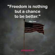 Pin On Independence Day Quotes