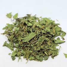Image result for Verbena × teasii