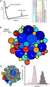 Nowadays were delighted to declare that we have found a very interesting niche to we decide to discuss this economy 7 meter wiring diagram image on this page just because based on info from google search engine, it really is. Wiring Economy In 2d A Pairwise Cost Between Two Neurons Used To Download Scientific Diagram