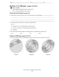 Abnormalities in chromosome number and chromosome structural rearrangements. Bio07 Tr U04 Ch11 Qxd