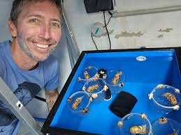 TheNautilusFiles (@gjbarord)