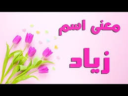 فوتوغرفيا جرافيك معنى اسم زياد Zeyad Necklace Lei Necklace Jewelry