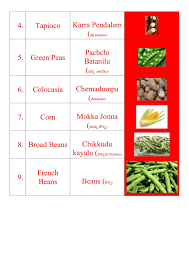 Veeramachaneni Rama Krishna Food Plan For Hair Loss Thyroid Diabetes Weight Loss Etc Part 10 Veeramachaneni Ramakrishna Diet Program