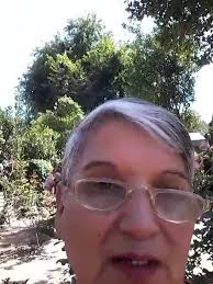 Para mi Hijo Olga Fernandes