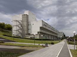 Cervigón, un imperio de madera. My Experience In The University Of La Coruna Spain By Maria Erasmus Experience Udc