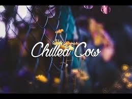 Listen And Download A Collection Of Over 140 Royalty Free No Copyright Vlog Music Songs For Use In Your Copyright Free Music Youtube Channel Ideas Music Songs