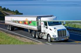 Image result for Green 2022 Fleet