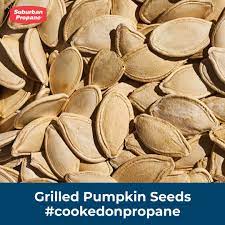 Pin On Cookedonpropane