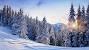 Cozy Winter Wallpaper