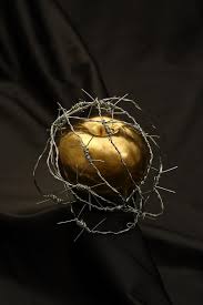Then discover the forbidden fruit! Is A Modern Day Forbidden Fruit Destroying Society Shane Phipps