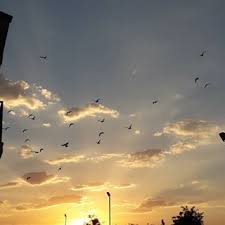 Fetih Suresi 7 Ayet Meali Fetih 7 48 7 Goklerin Ve Yerin Ordulari Allah Indir Allah Mutlak Guc Sahibidir Hukum Ve Hikmet Sahibidir Clouds Outdoor