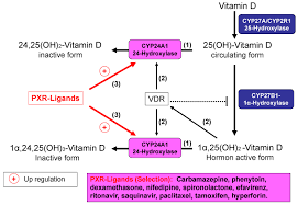 Common Drugs As Vitamin D Disruptors