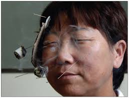 Britain's libel fighter