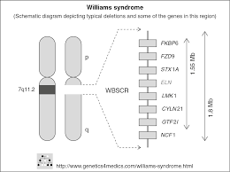 developmental pathology part ix the cambridge