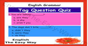 You can get used to it for a bit, but then one day your toes fall off and you can't walk to the bathroom. why is grammar important? Tag Questions Quiz English Grammar English The Easy Way