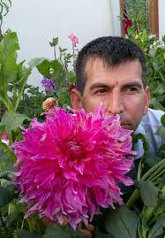 Hello, a beautiful dahlia from my garden for my dear friends.