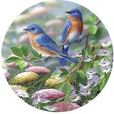 They feature fun puzzles of all types that'll keep you entertained. Bird Shaped Jigsaw Puzzles Jigsaw Puzzles For Adults Shaped Jigsaw Puzzles Nature Art Painting Round Jigsaw Puzzles