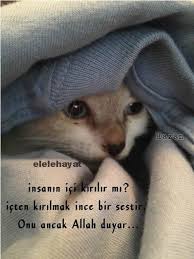 Insanin Ici Kirilir Mi Sozler Guzelsozler Anlamlisozler Kirginsozler Guzel Soz Resimler Anlamli Alintilar