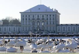 Schwane Und Enten Vor Schloss Nymphenburg Im Winter Munchen Bayern Deutschland