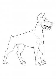 The doberman is a dog that originated in germany back in the eighteenth century. Doberman Pinscher Coloring Pages Dogs Coloring Pages Colorings Cc