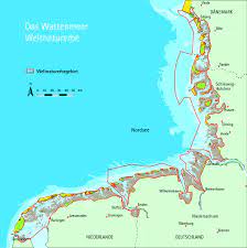 Urlaub an der deutschen nordsee ist seit vielen jahren beliebt unter deutschen und ausländischen urlaubern. Information Page 11 Wadden Sea