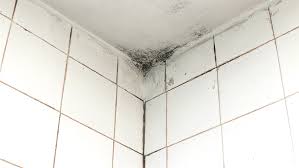 Black Mould On Bathroom Ceilings And Walls Black Mould Removal Black Mould Treatment Diy Doctor