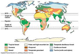 Ess Topic 2 4 Biomes Zonation And Succession Amazing