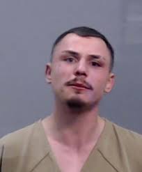 Michigan man arrested