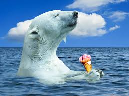 We did not find results for: Hd Wallpaper White Polar Bear Holding Ice Cream Nature Animal Predator Wallpaper Flare