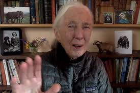 A Laugh from Dr. Jane Goodall