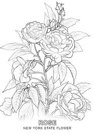 Click To See Printable Version Of New York State Flower Coloring Page Rose Coloring Pages Flower Coloring Pages Flower Drawing