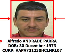 Feds say Texas middle school teacher admitted to working for Mexican drug  trafficking organization