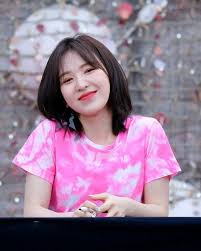 Wendy Pics On Twitter In 2020 Wendy Red Velvet Red Velvet Velvet